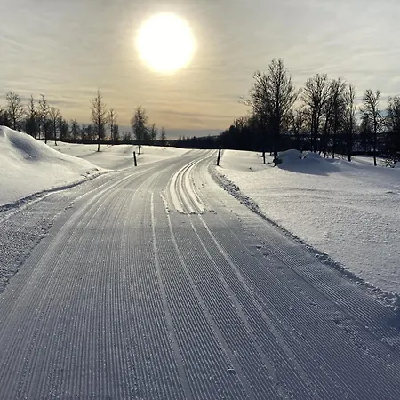 Koselig Gala Vakre Lauvasen בית נופש