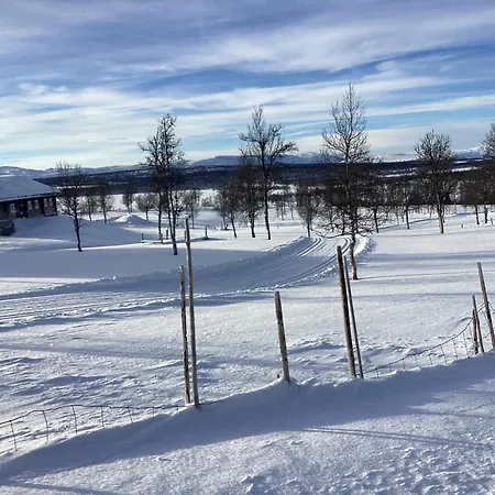 Koselig Gala Vakre Lauvasen