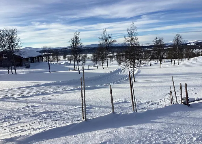 Koselig Gala Vakre Lauvasen
